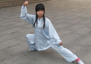 Taiji Chen Quanzhong