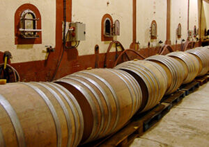 Union des Vignerons en Terres Romanes