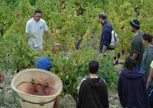 Domaine des Trois Orris