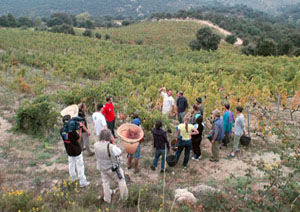 Domaine des Trois Orris