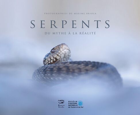 argeles-photo-nature-serpents-2019