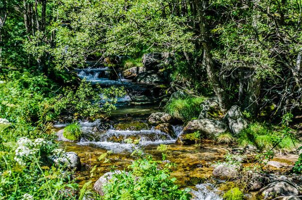 _DSC3717