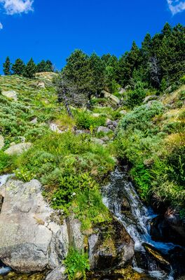 _DSC3849