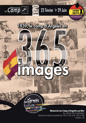 365images