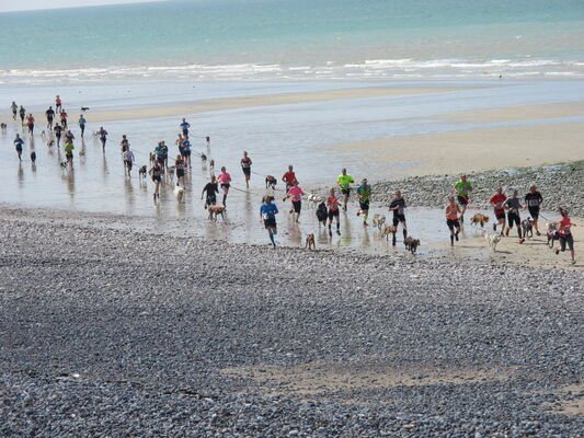 Canicross Quiberville Plage