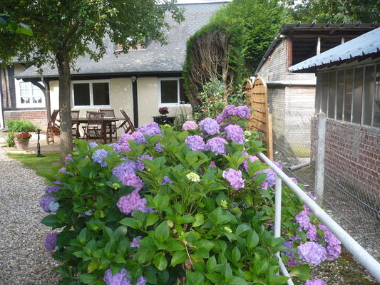 Les-Noisetiers--8----Mme-Baville---Gruchet-Saint-Simeon