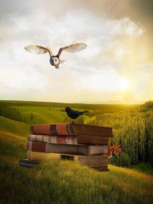 Livres_de_contes