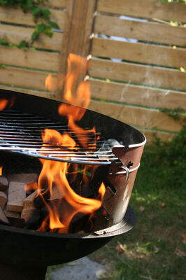 Repas_Barbecue_times
