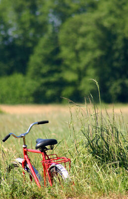 Vélo_campagne
