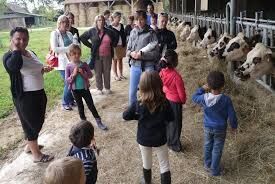 Ferme Petit Fumechon visite