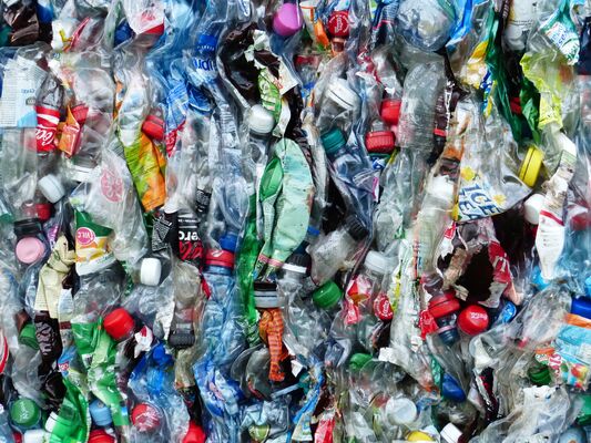 plastique-bouteille-dechets