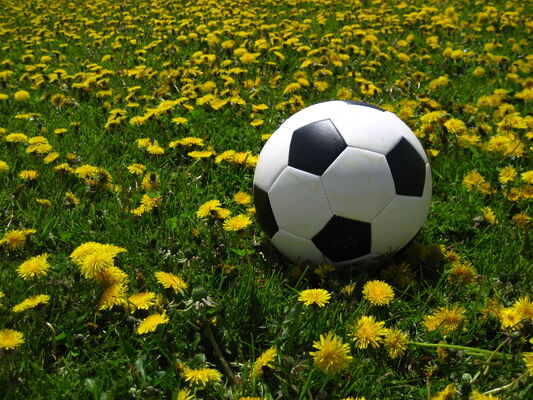 Foot_sixte