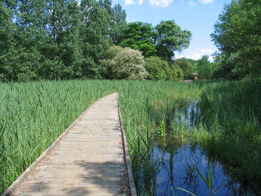 Marais-Cr-sur-Loir