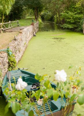 Moulin de la Diversi+¿re_savign+® sous le lude_2013-®Stevan LIRA (13)