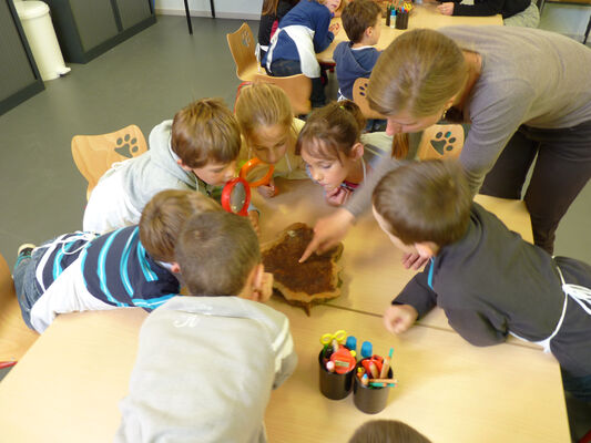 Atelier enfant Carnuta (1)