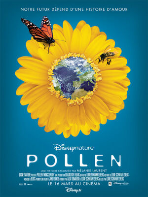 Affiche Film Pollen