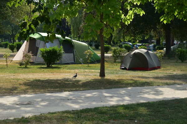 Camping au Bord du Loir - Le Lude - emplacements nus (16)
