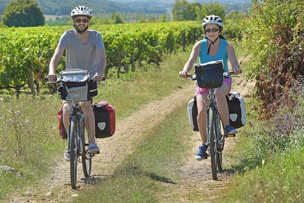 Le Vignoble de Jasnières