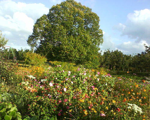DSC00001