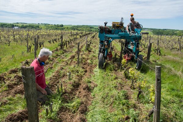 Domaine de Belliviere_Lhomme_2017_credit Stevan Lira (17)