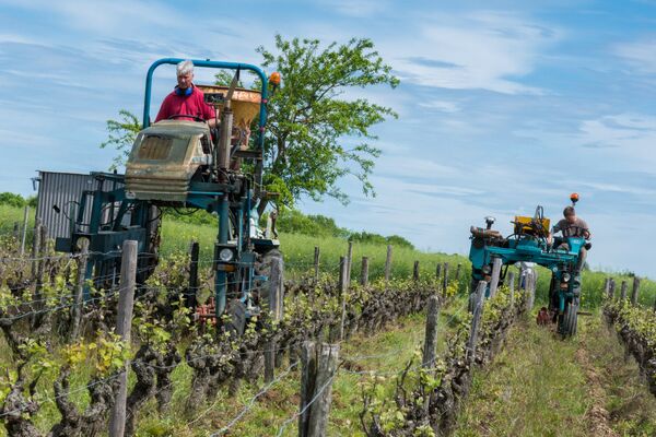 Domaine de Belliviere_Lhomme_2017_credit Stevan Lira (12)