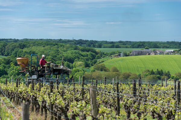 Domaine de Belliviere_Lhomme_2017_credit Stevan Lira (8)