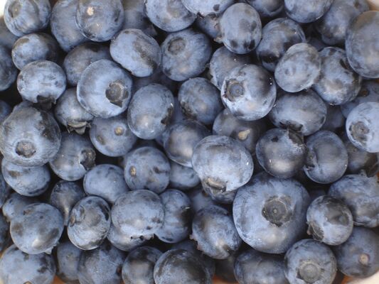 Ferme des Bleuts_Vaas (1)