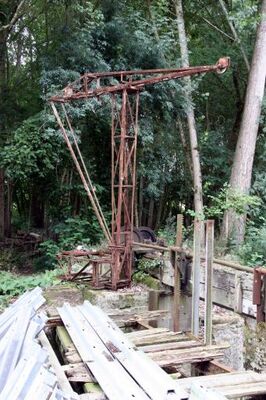 Grue a Anguilles