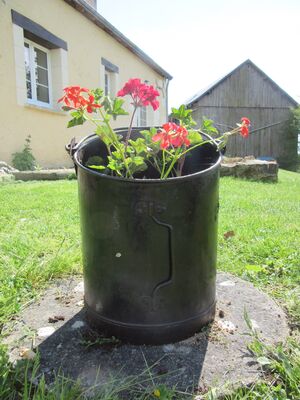 Géranium Back garden