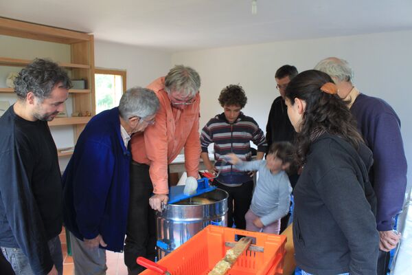 Grain de pollen_anim apiculture (4)