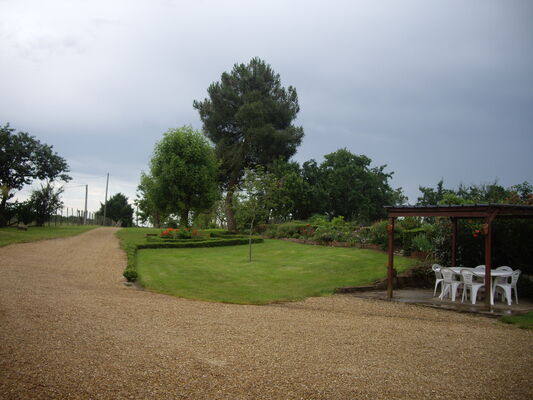 IMGP0003