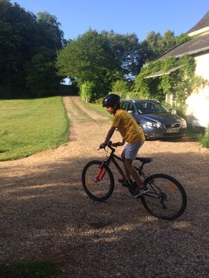IMG-4641-2