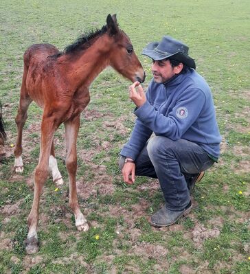Indiana pouliche née à l'Eldorando