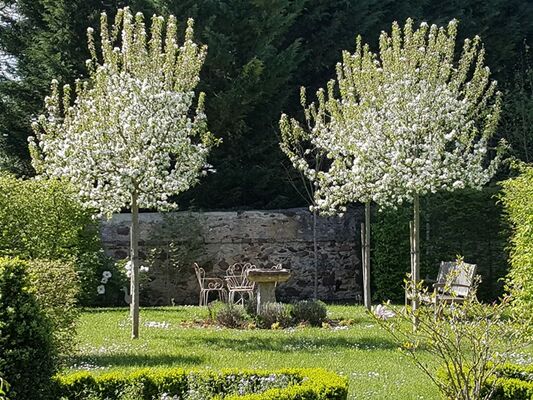 Jardin-des-Langottières-Cheviré-le-Rouge-Baugeois-Vallée-6