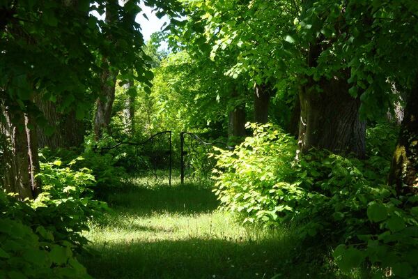 Jardin du château des Gringuenières