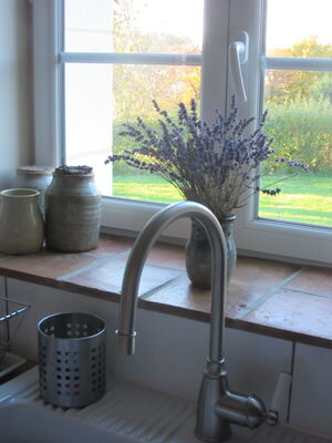 Kitchen view