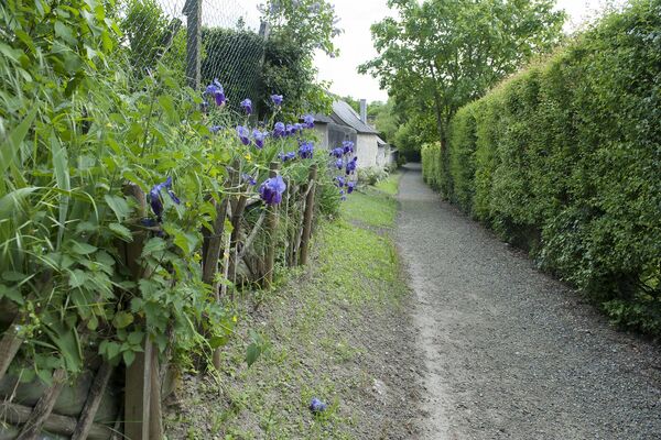 Les ruelles du Parcours Patrimoine de Neuvy-le-Roi1B
