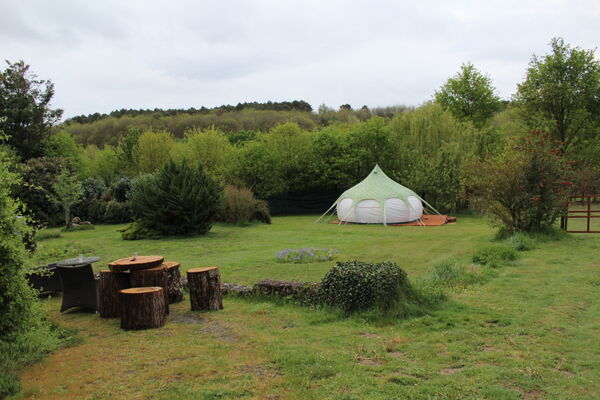 Loire-Valley-Llamas-Lavernat--13-