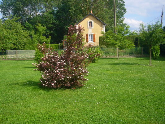 P1010446