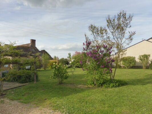 jardin