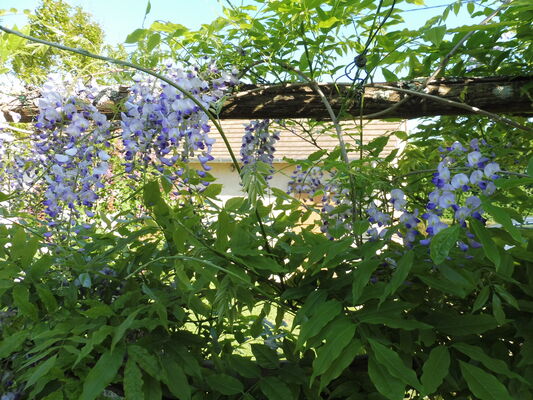 Coté jardin