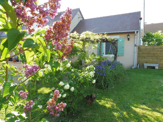 Coté jardin