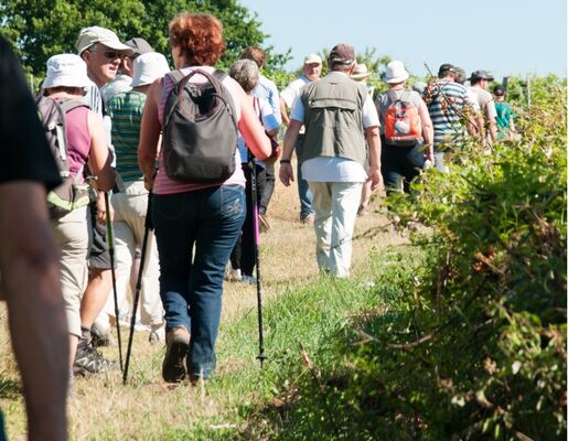 Rando-vigne-Chahaigne-6