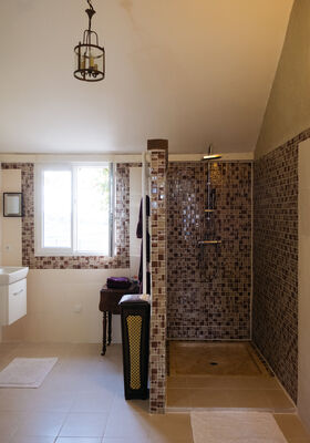 ShowerRoom-1