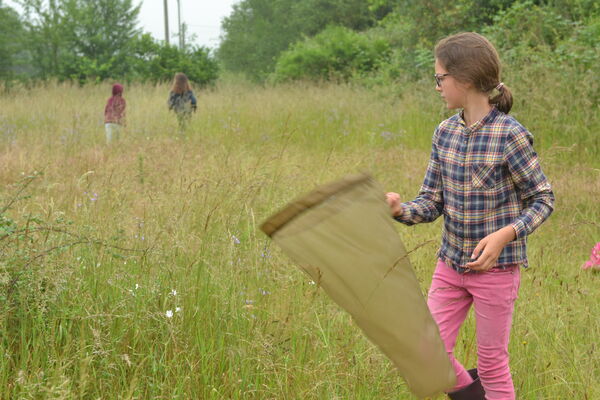 Sortie abeille _CPIE (2)