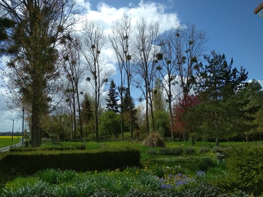 Une autre partie du jardin