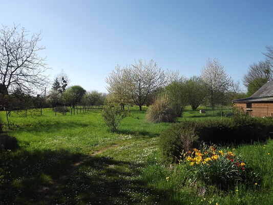 Une partie du jardin