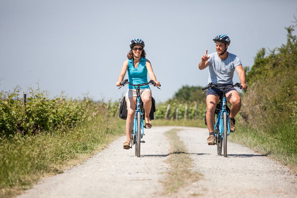 Vallee du Loir a velo_Credit JP Berlose (2)