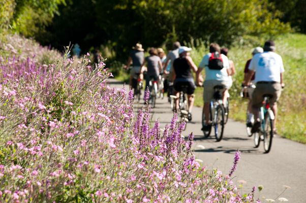 Vallée du Loir à vélo