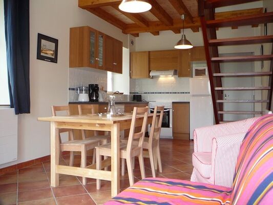 HLO49-moulin-guédeniau-2